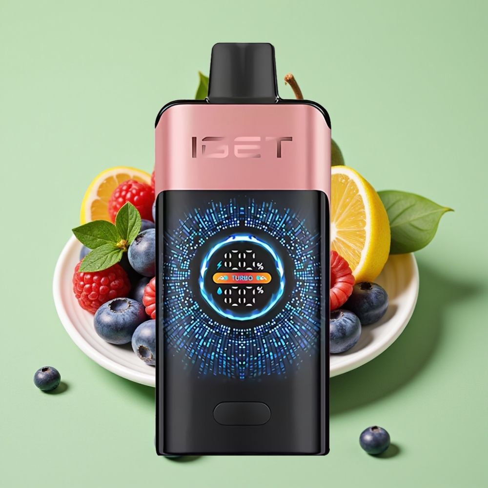 IGET ONE 12000 Puffs Disposable Vape Borovnica Malina Regular/Turbo Mode 2700mAh Dual Mesh